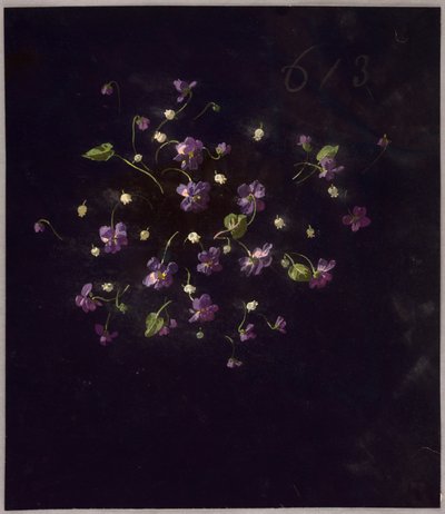 Saint Germain by Unknown